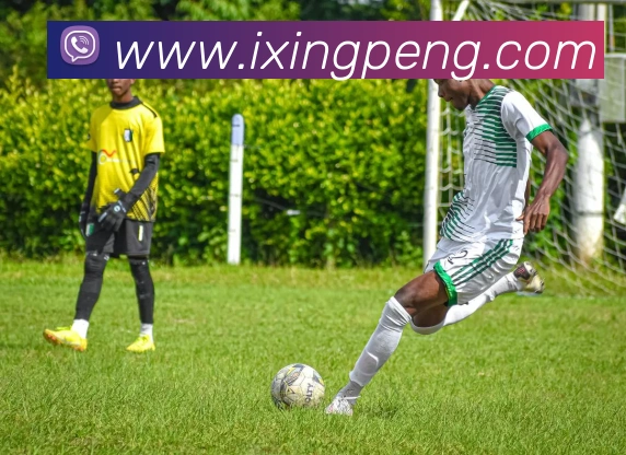 kaiyun开云APP 高清赛事图